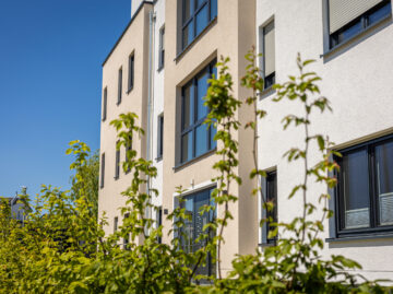 modern residential building exterior with green foliage clear blue sky scaled