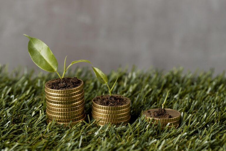 high angle three stacks coins grass with plants dirt scaled